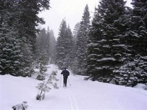 Having your Medicare plan selection behind you will make your trips to Bear Basin that much more enjoyable.